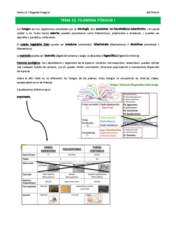Miniatura del documento Tema-15.pdf