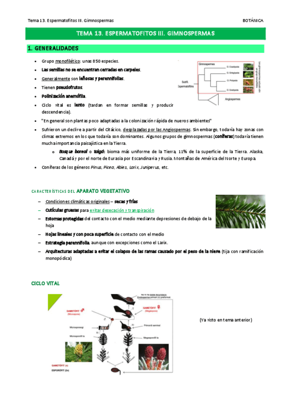 Miniatura del documento Tema-13.pdf