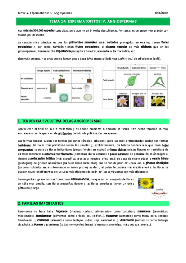 Miniatura del documento Tema-14.pdf