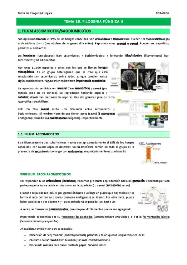 Miniatura del documento Tema-16.pdf