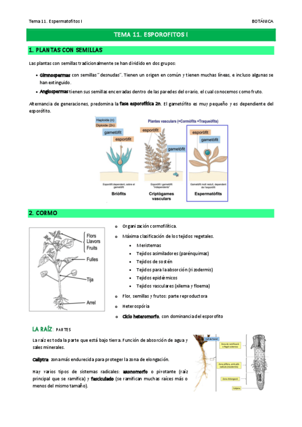 Miniatura del documento Tema-11.pdf