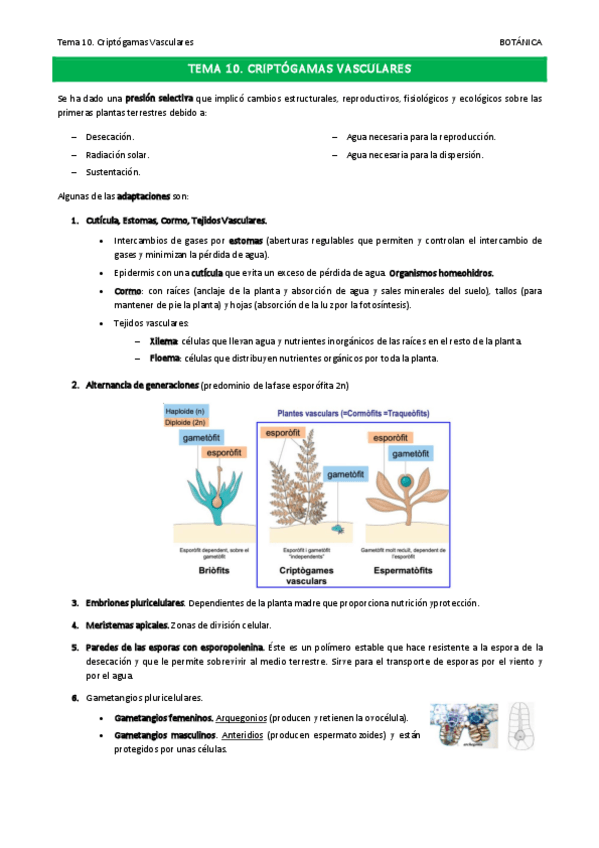 Miniatura del documento Tema-10.pdf