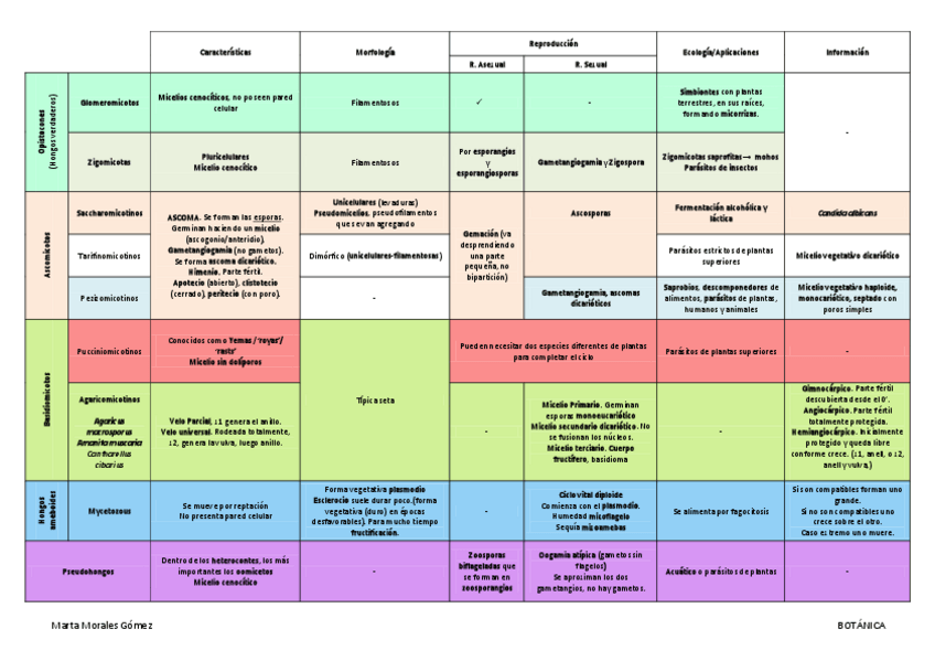 Miniatura del documento Tabla-Filogenia-Fungica.pdf