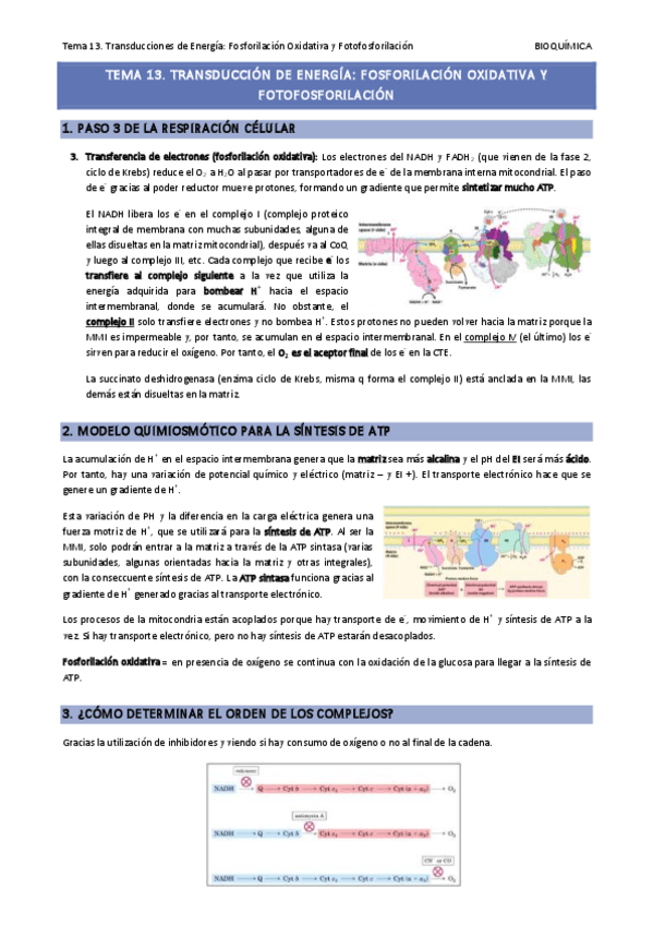 Miniatura del documento Tema-13.pdf