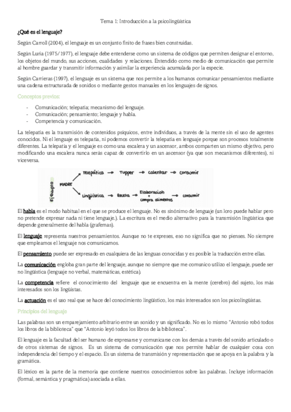 Miniatura del documento Tema-1-Psicolinguistica.pdf
