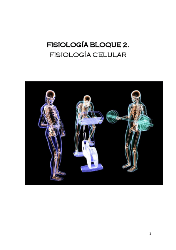 Miniatura del documento FISIOLOGIA-BLOQUE-2.pdf