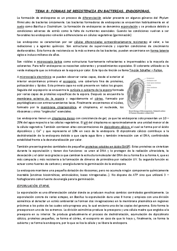 Miniatura del documento TEMA-8.pdf