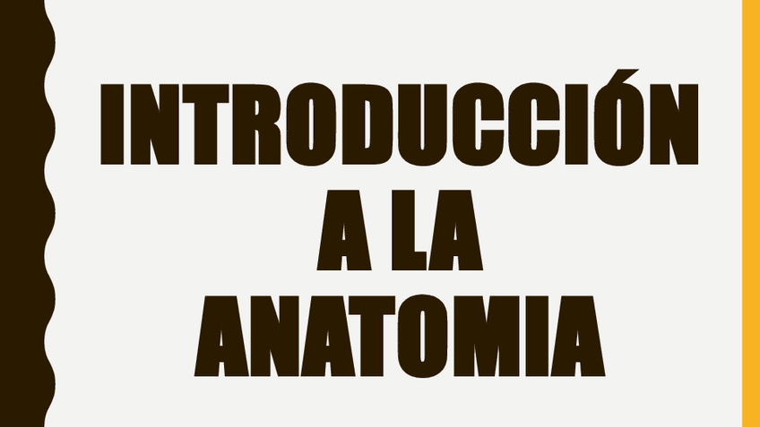 Miniatura del documento Introduccionalaanatomia.pdf