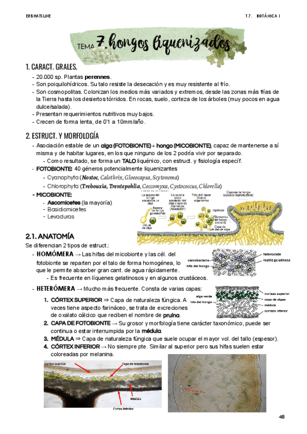 Miniatura del documento Tema-7-Hongos-liquenizados.pdf