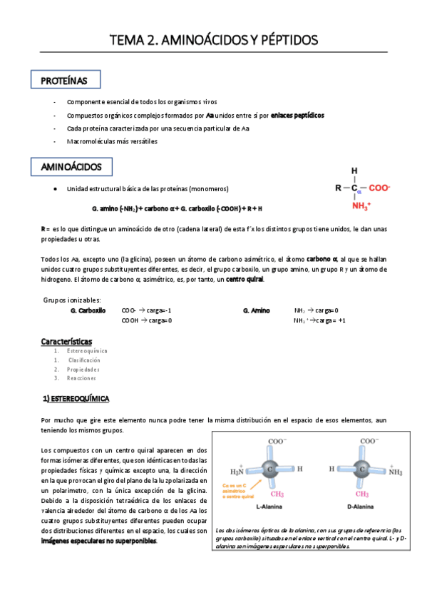 Miniatura del documento 2-AMINOACIDOS-Y-PEPTIDOS.pdf