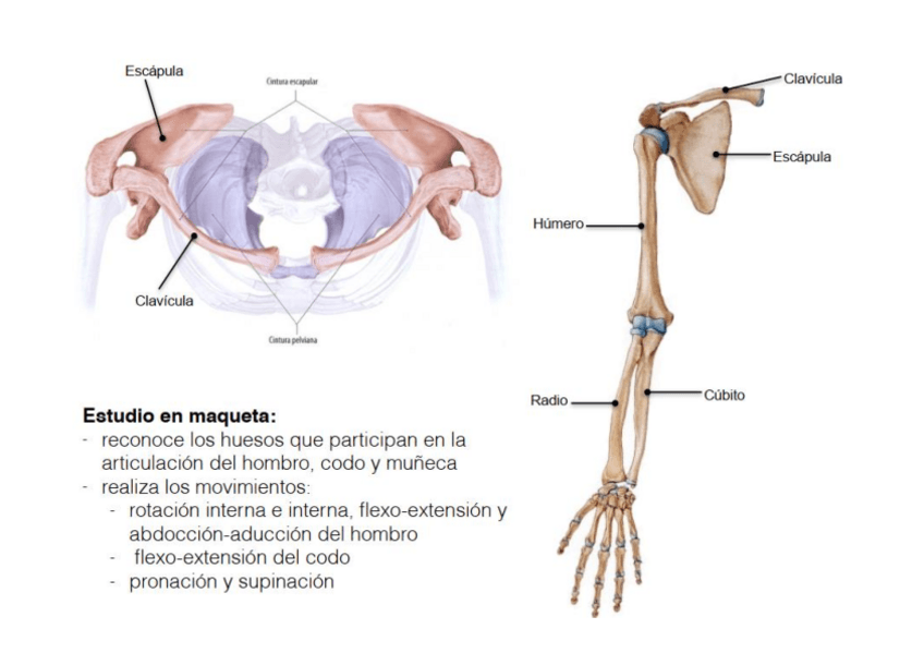 Miniatura del documento Practica-5.pdf