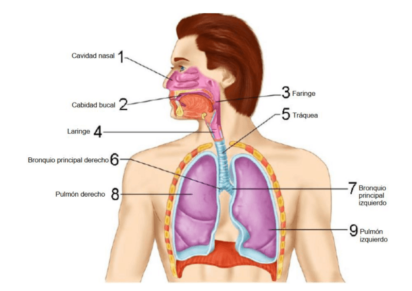 Miniatura del documento Practica-6.pdf