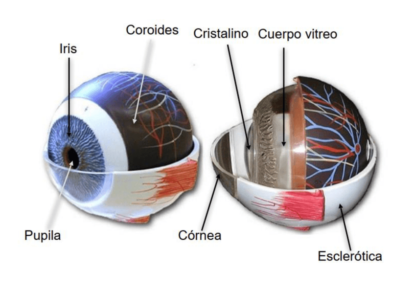 Miniatura del documento Practica-7.pdf