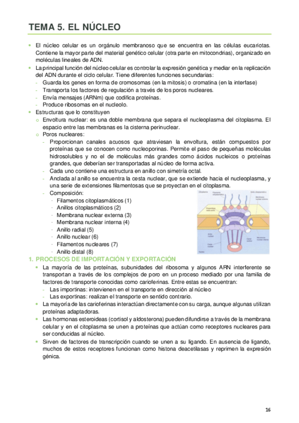 Miniatura del documento 5.pdf