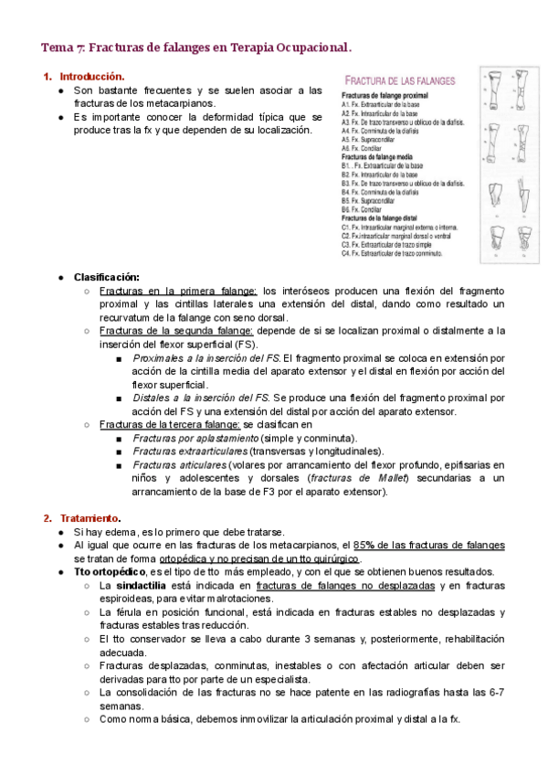 Miniatura del documento Tema-7.pdf