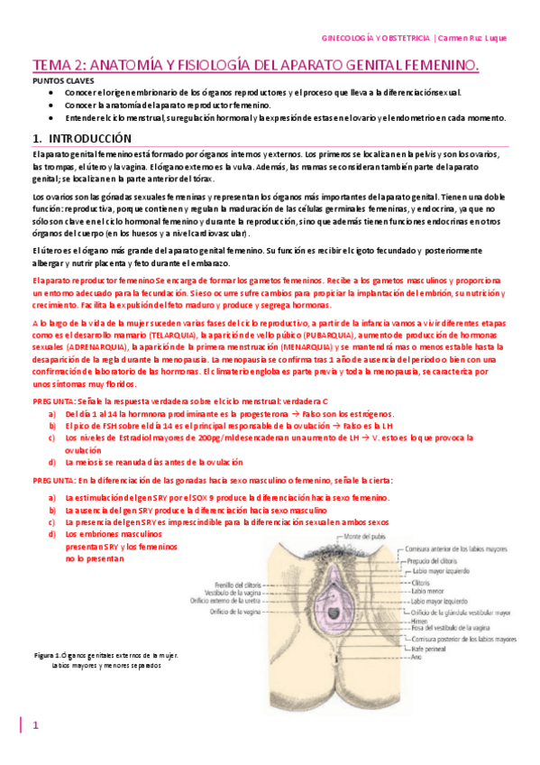 Miniatura del documento TEMA-2.pdf