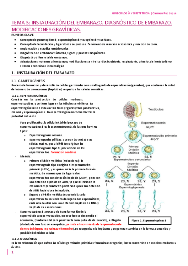 Miniatura del documento TEMA-3.pdf