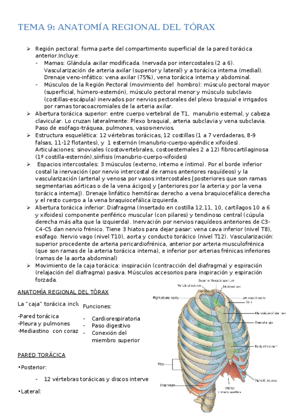 Miniatura del documento word 9-16.docx