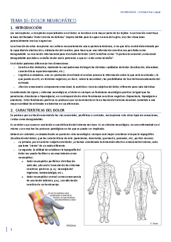 Miniatura del documento TEMA-16.pdf