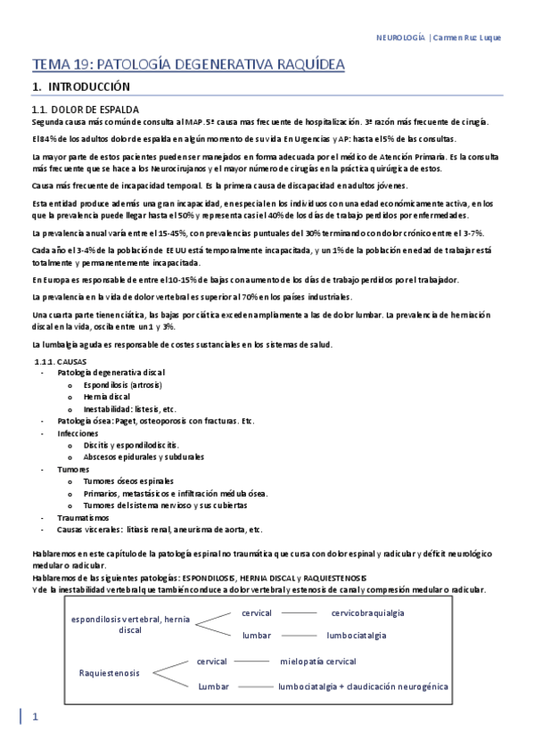 Miniatura del documento TEMA-19.pdf