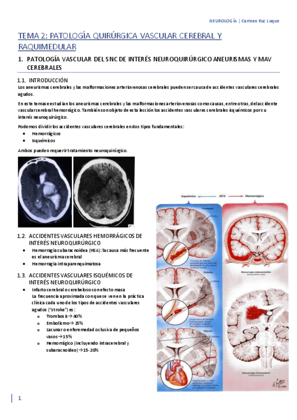 Miniatura del documento TEMA-2.pdf