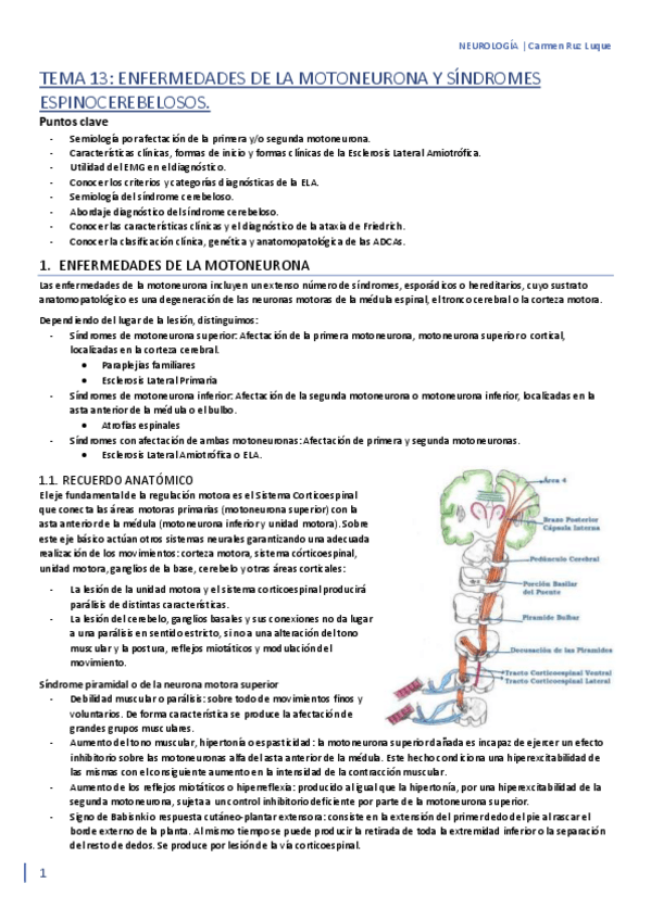 Miniatura del documento TEMA-13.pdf