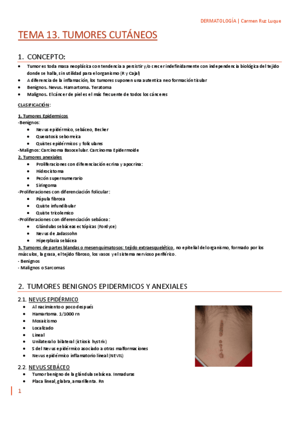 Miniatura del documento TEMA-13.-DERMA.pdf