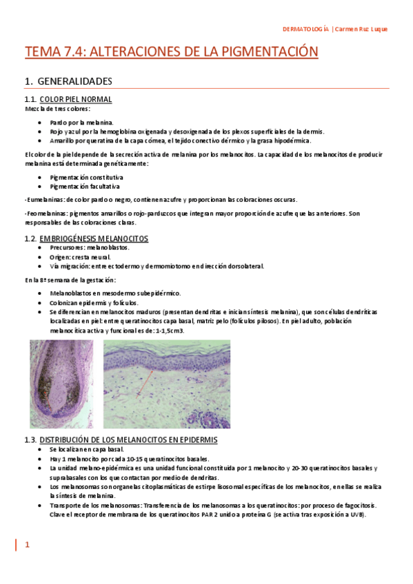 Miniatura del documento TEMA-7.4.pdf