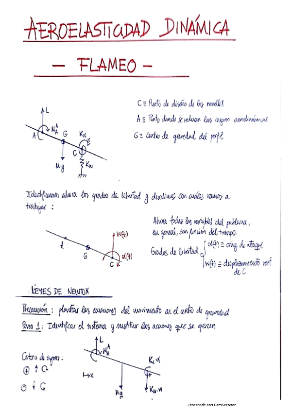 Miniatura del documento Aeroelasticidad-Dinamica-Flameo.pdf