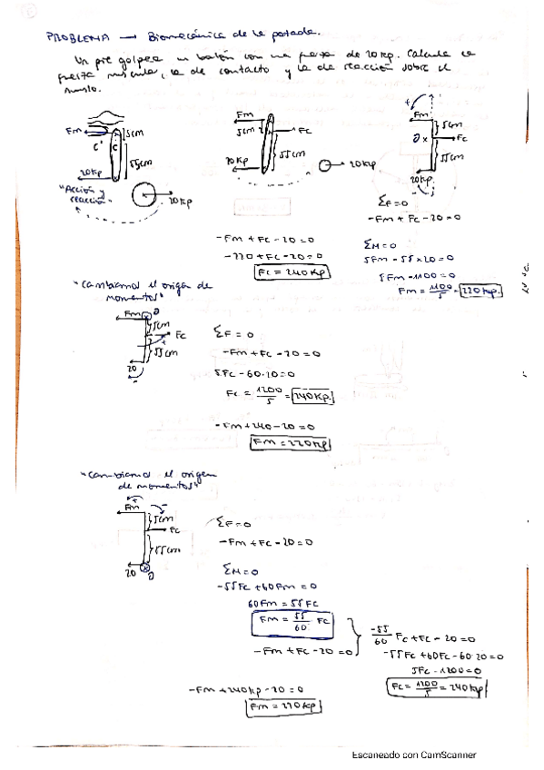 Miniatura del documento apuntes.pdf
