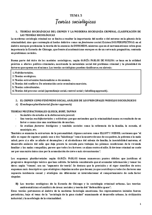 Miniatura del documento tema-5-teorias.pdf
