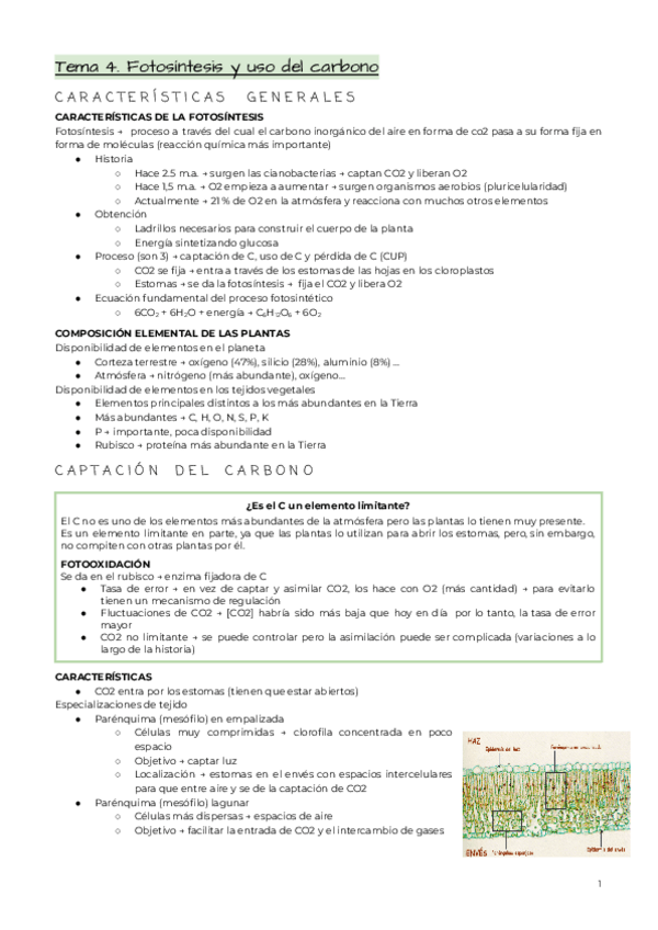 Miniatura del documento Tema-4.pdf