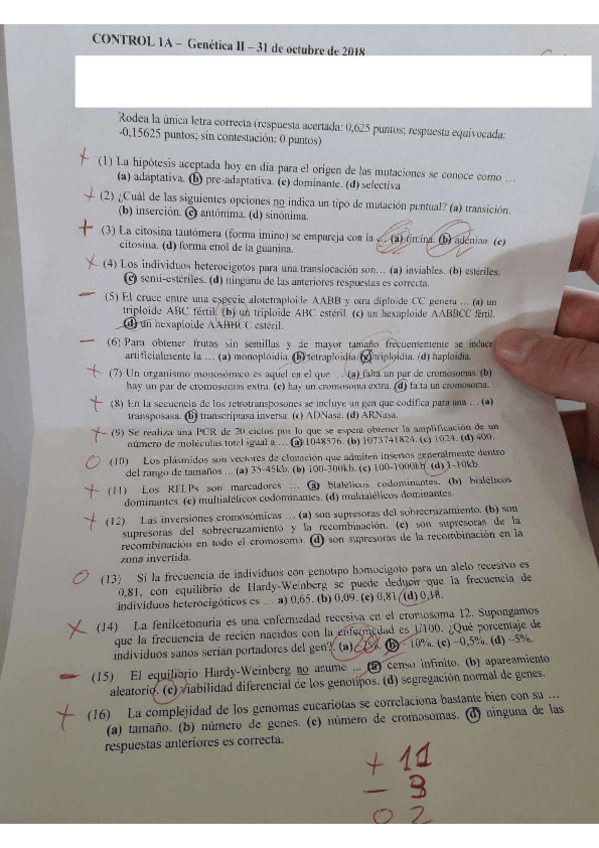 Miniatura del documento 396724bddf4a186bd51cd1567d2634f2f6fc58fa.pdf