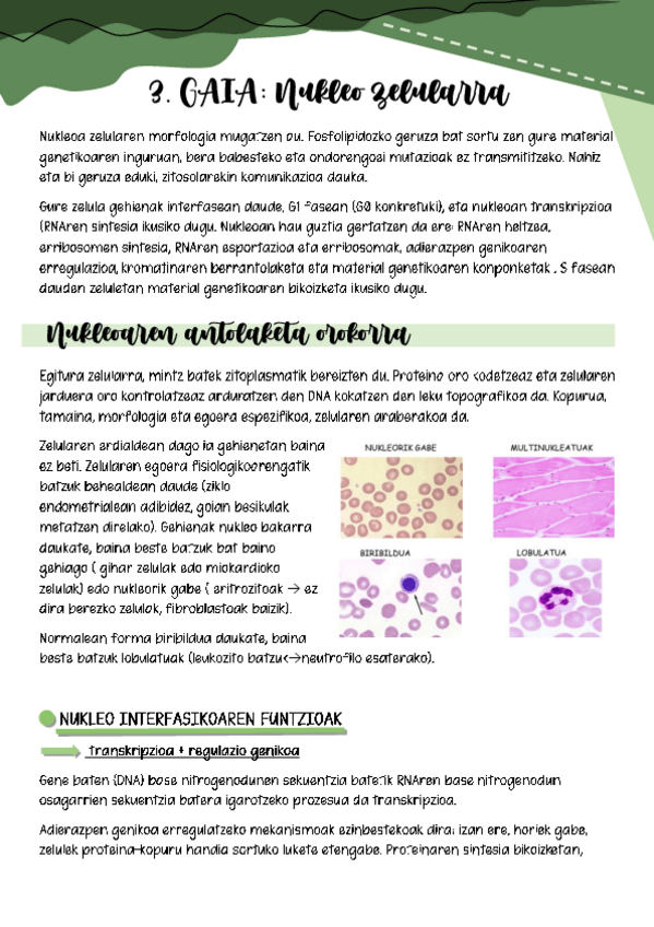 Miniatura del documento Gaia-3.pdf