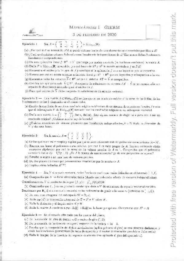 Miniatura del documento ExFeb2020Alg.pdf