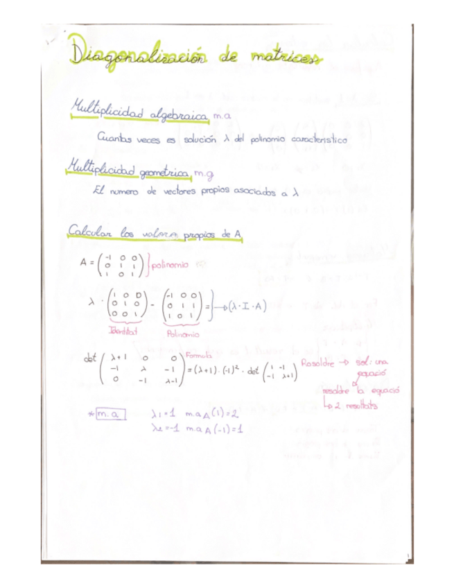 Miniatura del documento Resumen-dia-diagonalizacion-.pdf