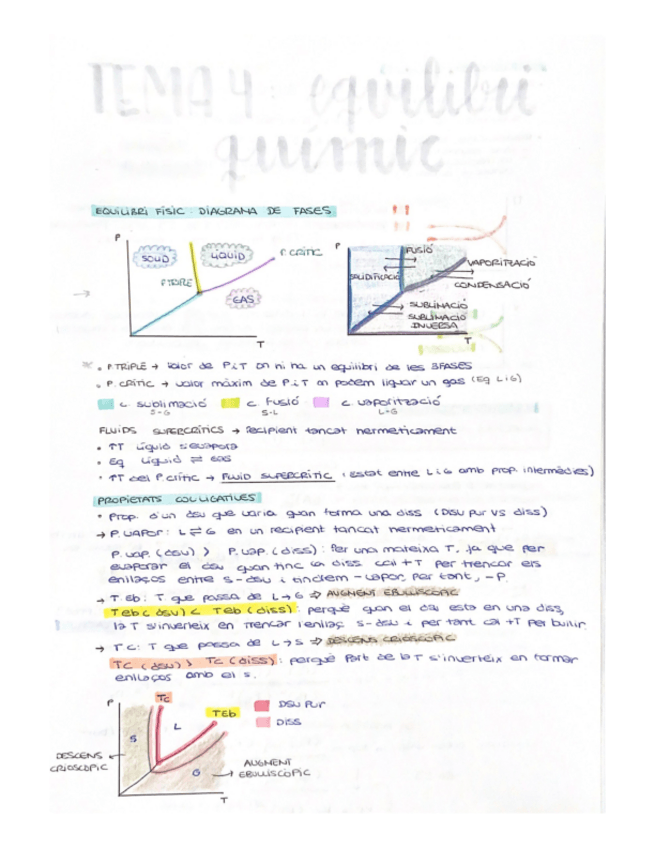 Miniatura del documento TEMA-4-EQULIBRI-QUIMIC.pdf