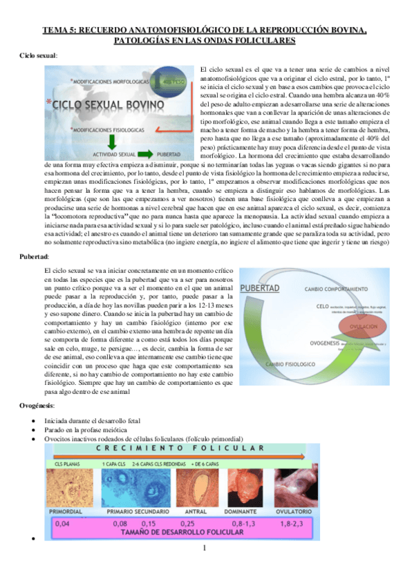 Miniatura del documento TEMA-5-REPRO.pdf