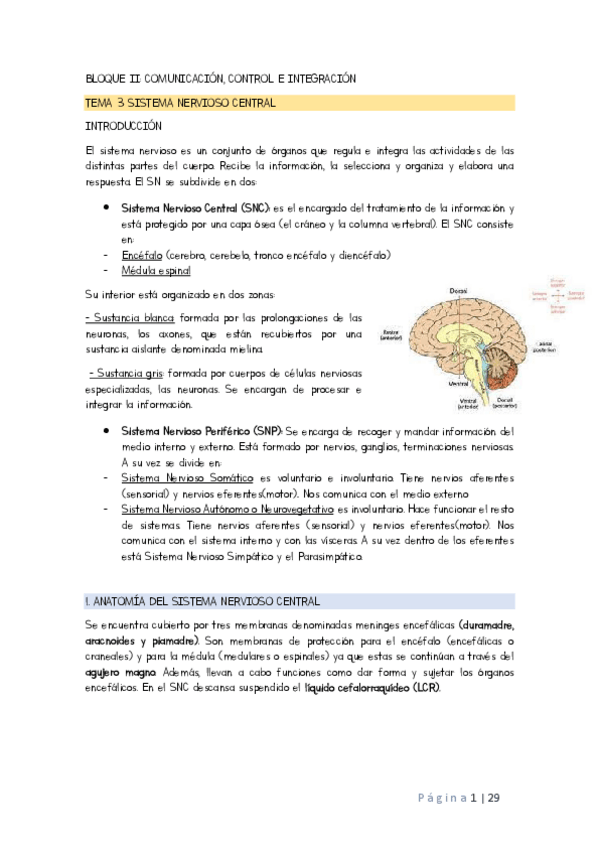 Miniatura del documento TEMA-3-4-Y-5.pdf