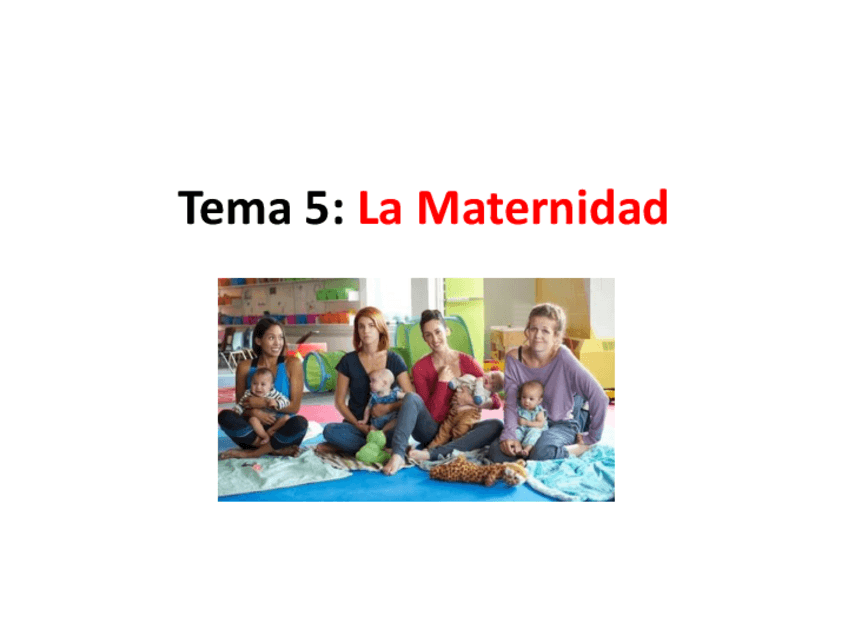 Miniatura del documento Tema5Lamaternidadmodificado.pdf