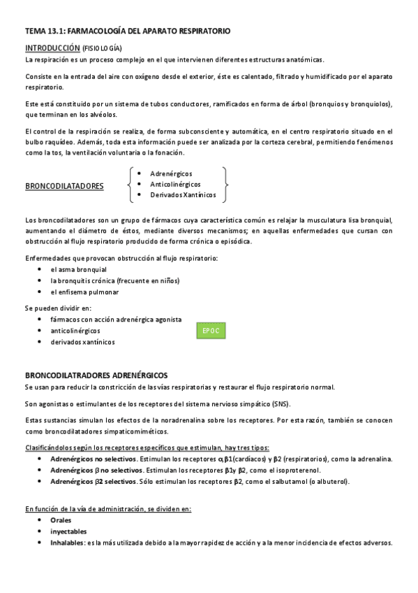 Miniatura del documento TEMA-13.pdf