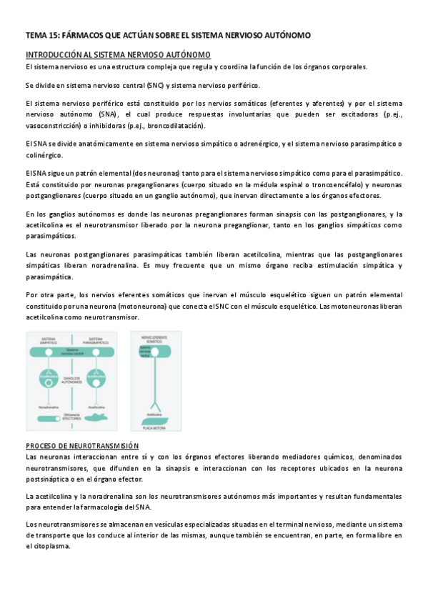 Miniatura del documento TEMA-15.pdf