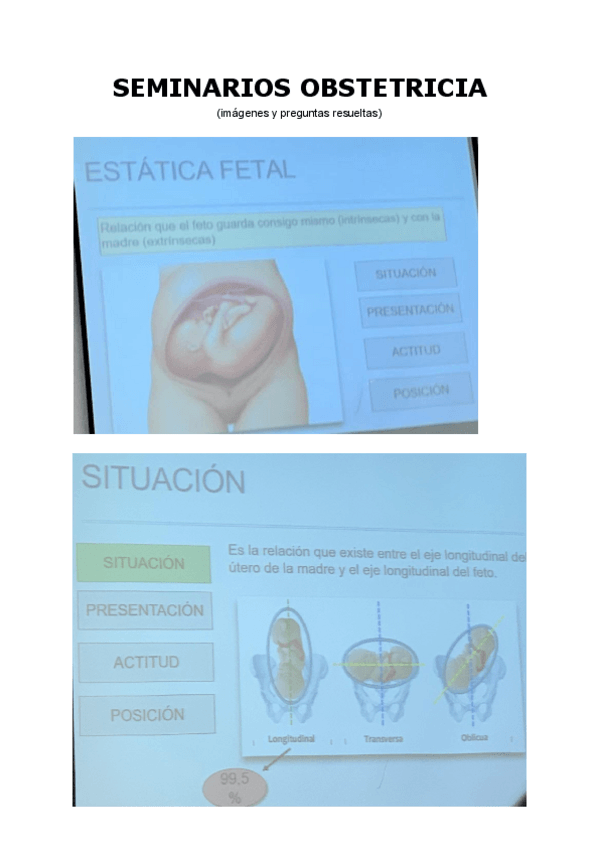 Miniatura del documento Seminarios-obstetricia.pdf