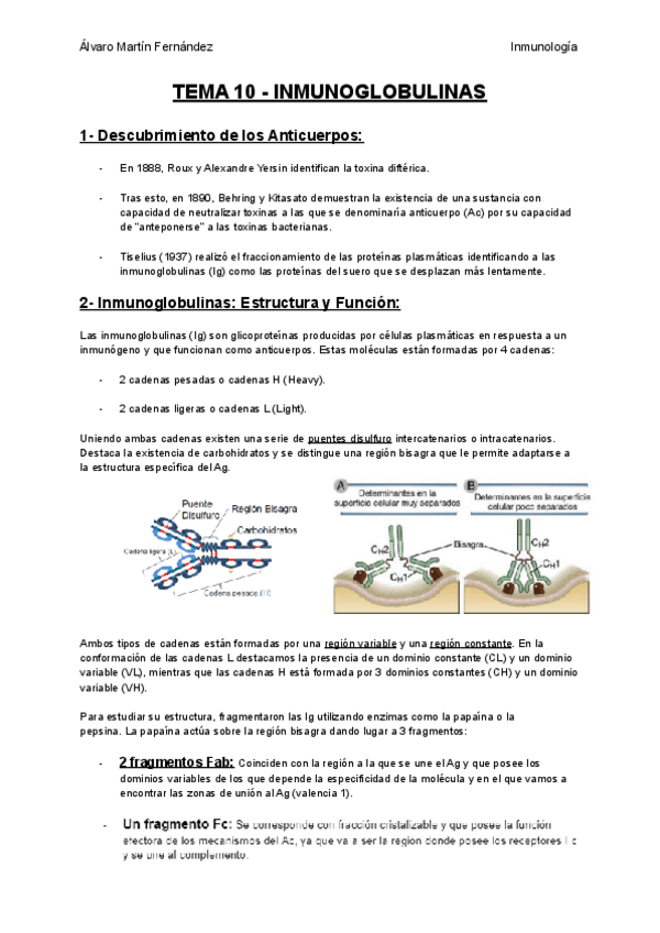 Miniatura del documento TEMA-10-INMUNOGLOBULINAS.pdf