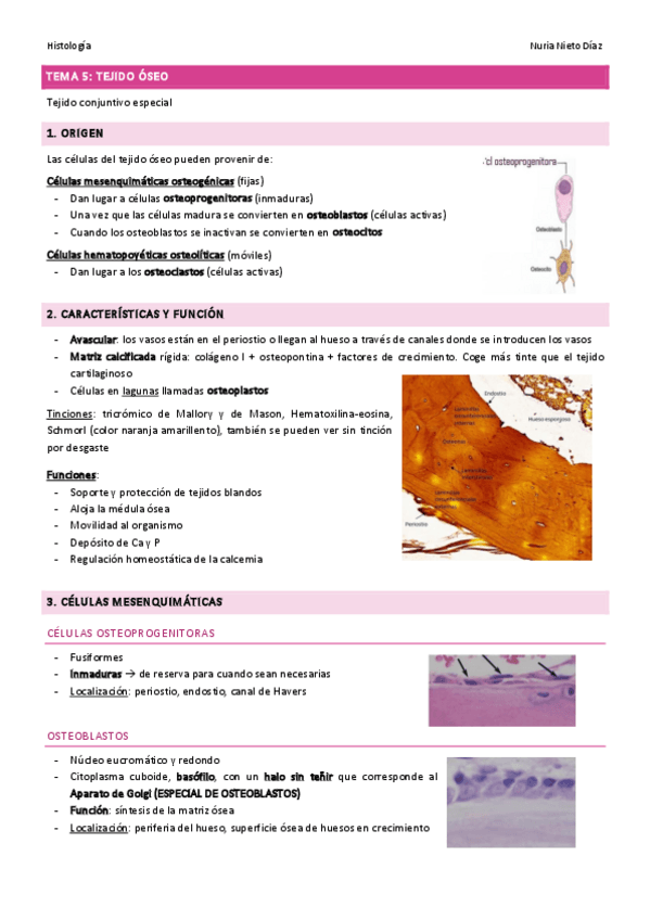 Miniatura del documento Tema-5-Tejido-oseo.pdf