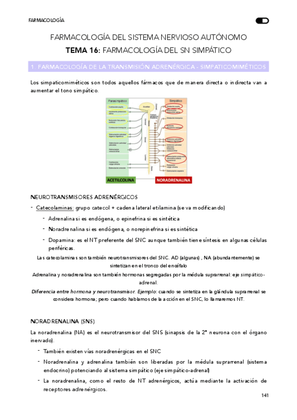 Miniatura del documento TEMA  16 - SN Simpático