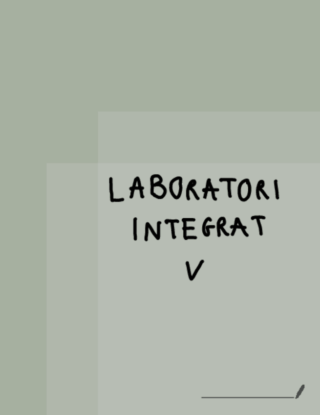 Miniatura del documento Lab-Integrat-V.pdf