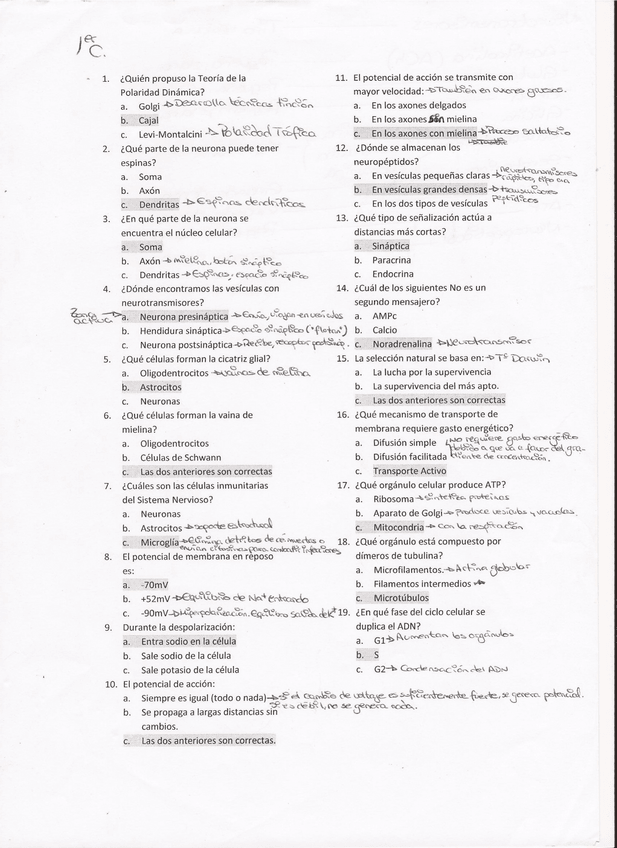 Miniatura del documento Examen Psicobiologia(1) (3).jpg