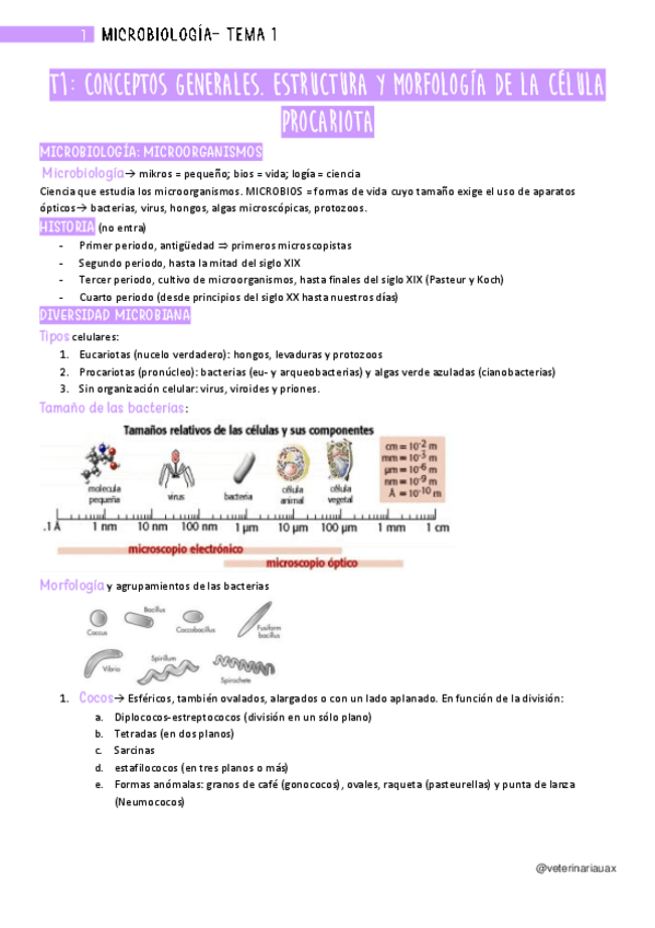 Miniatura del documento 1.pdf