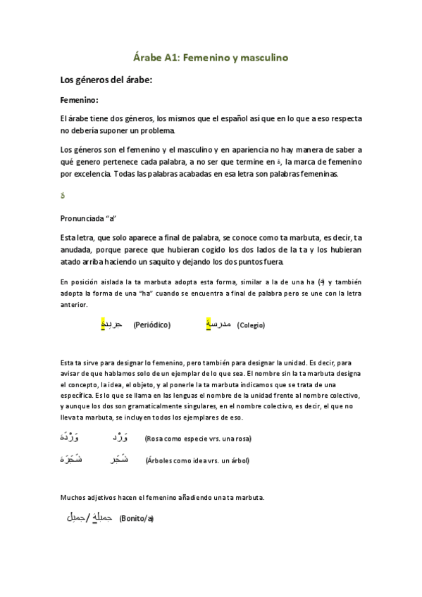 Miniatura del documento Arabe-A1-femenino-y-plurales.pdf
